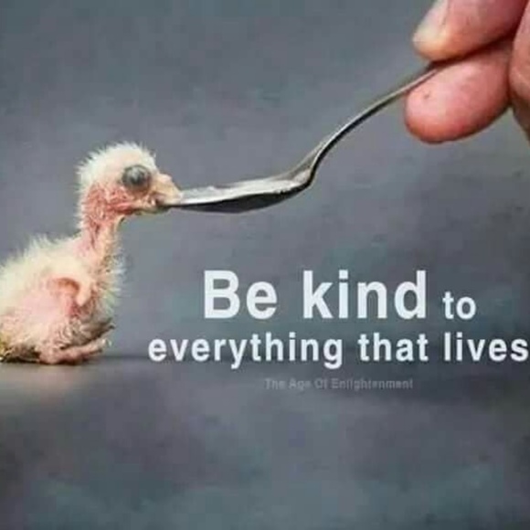 💕I SELL TO SUPPORT ANIMALS IN NEED💕 - Picture 2 of 16